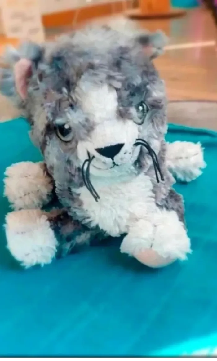 Peluche chat