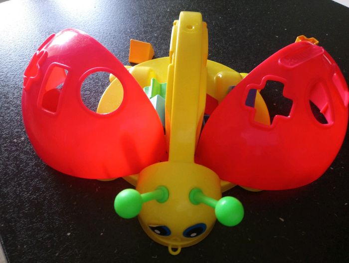 Coccinelle à forme - photo numéro 3