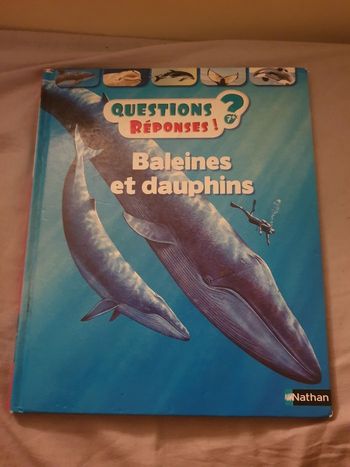 Livre documentaire question réponse sur les baleines et dauphins