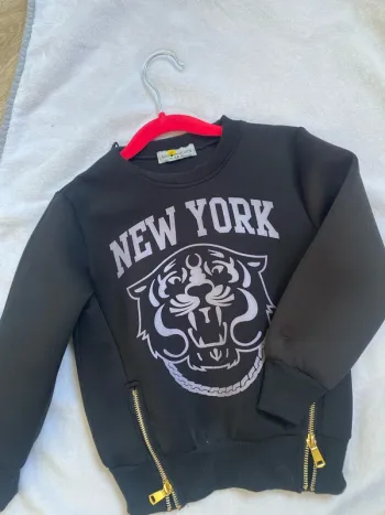 Pull tigre