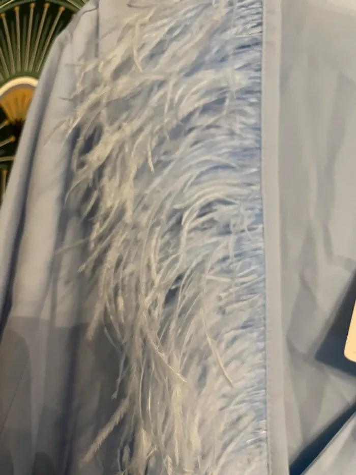 Belle blouse à plumes Zara à XL - photo numéro 4