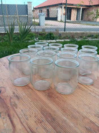 petit pot  yaourt
