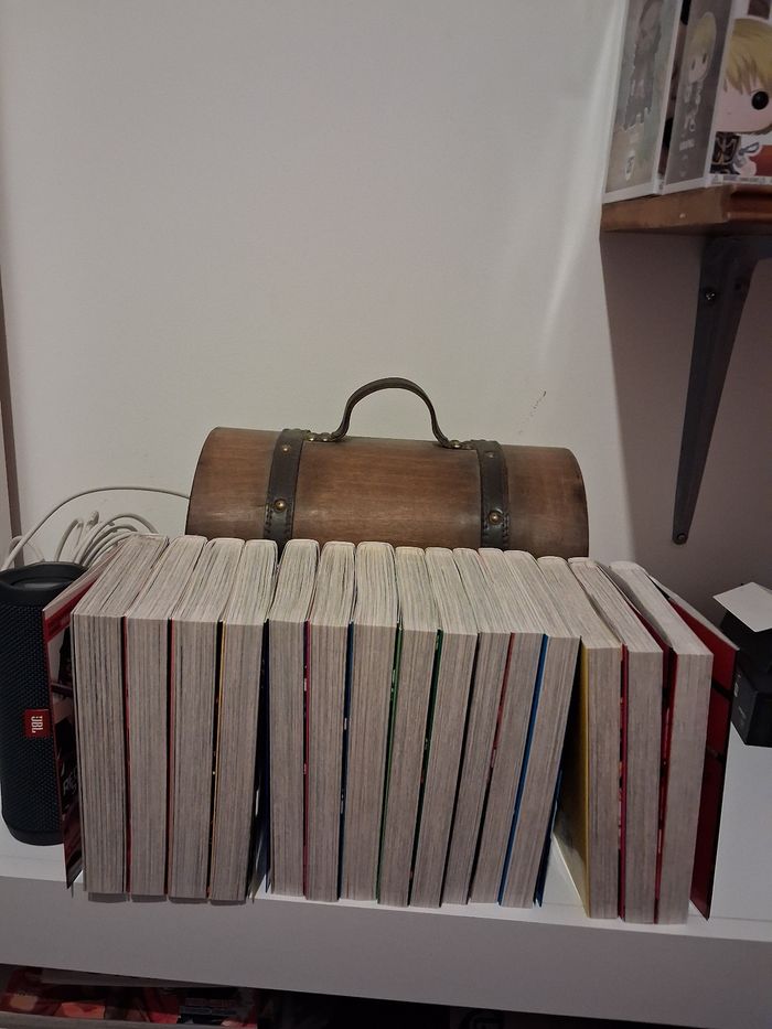 Manga Red Eyes Sword intégrale tome 1 au tome 15 Akame Ga Kill - photo numéro 3