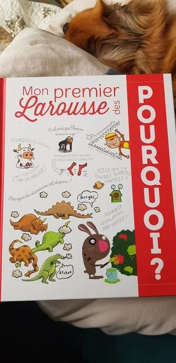 Mon 1er Larousse des pourquoi 