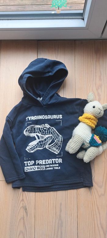 Sweat à capuche léger 3-4ans