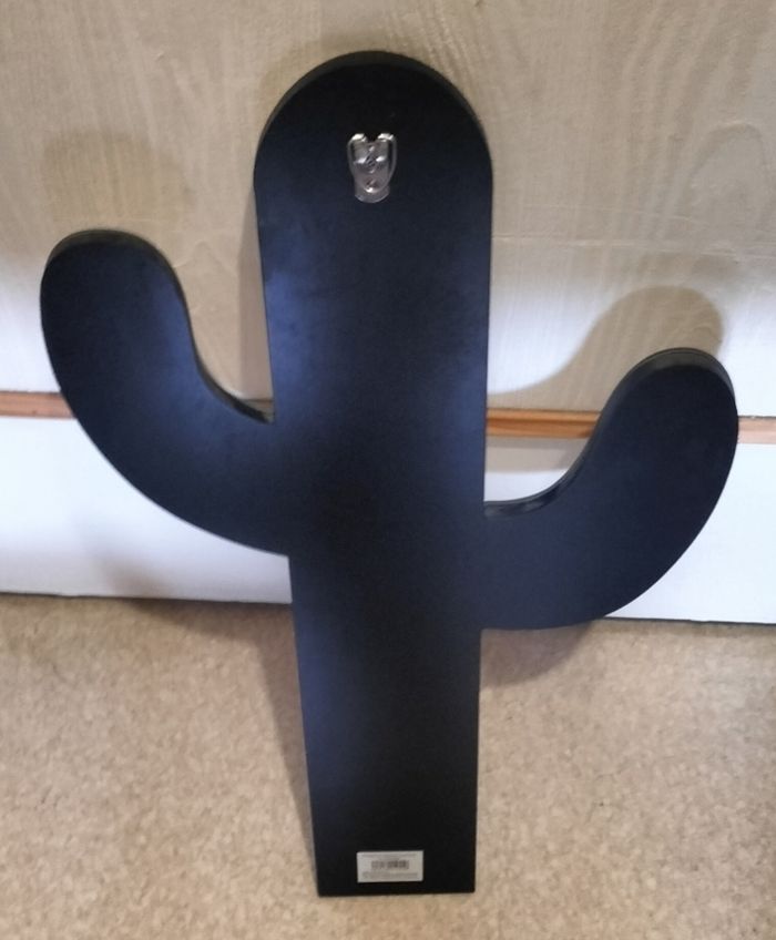 Miroir cactus - photo numéro 2