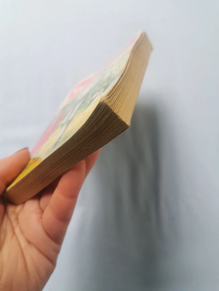 Les vacances livre de Comtesse de Ségur, bibliothèque rose - photo numéro 8