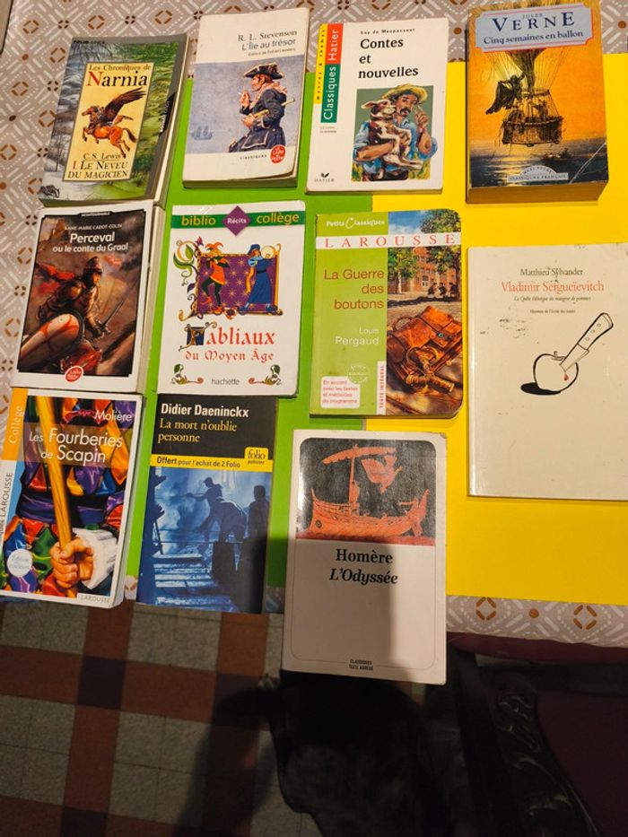 Livres divers - photo numéro 2