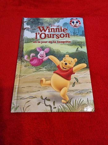Livre Disney winnie l'ourson et le jour de la tempête