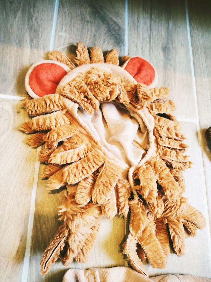 🦁 Déguisement/costume combinaison de Lion pour bébé 24mois - photo numéro 6