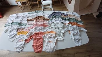 Lot bodys bébé 1-3-6 mois mixte bon état