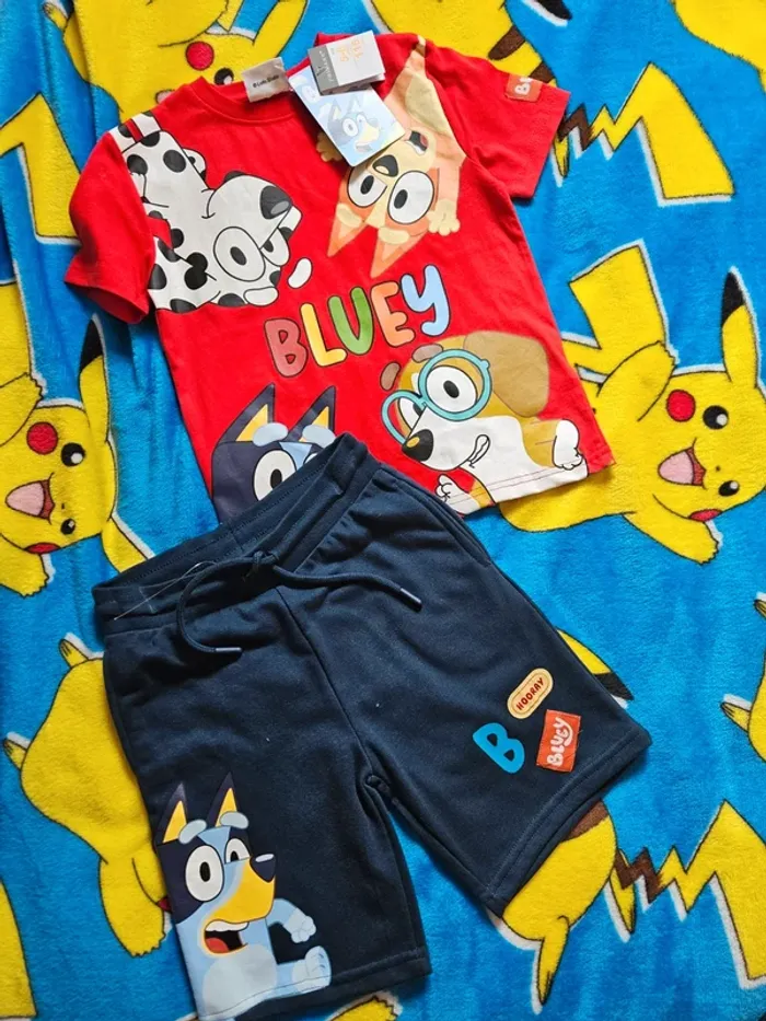 Ensemble bluey