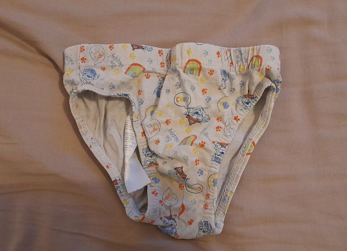 Lot de 6 slips pat patrouille - photo numéro 3