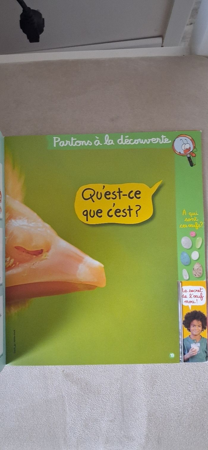 Youpi doc - photo numéro 2