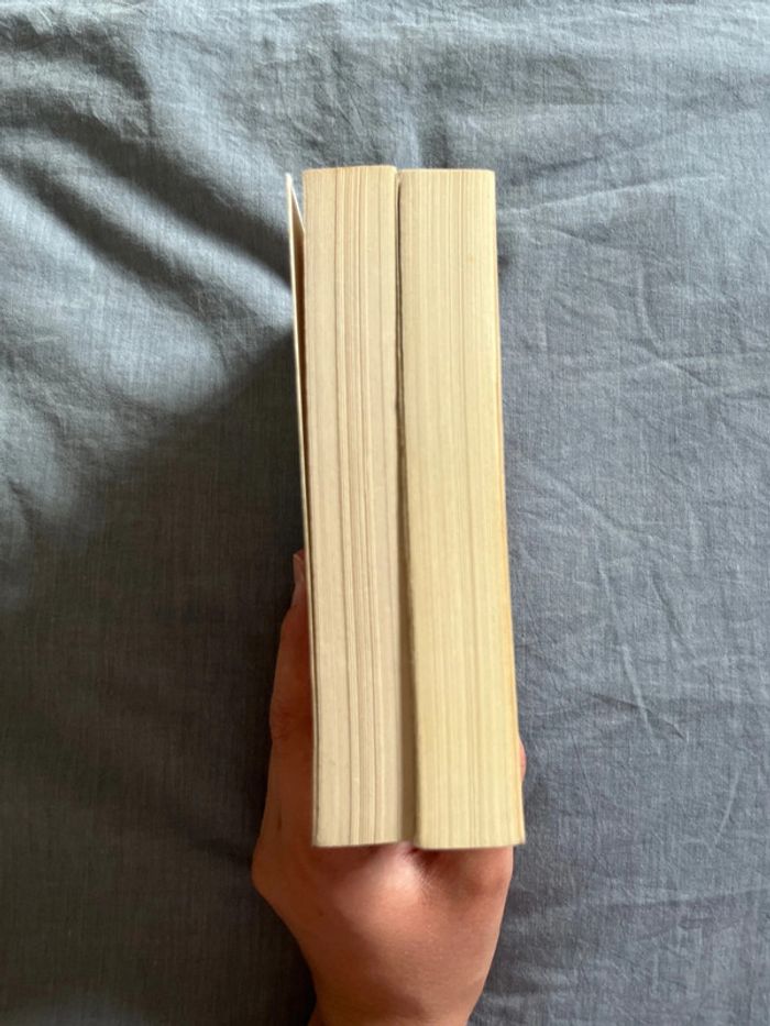 Lot de deux livres de Sarah Dessen - photo numéro 3