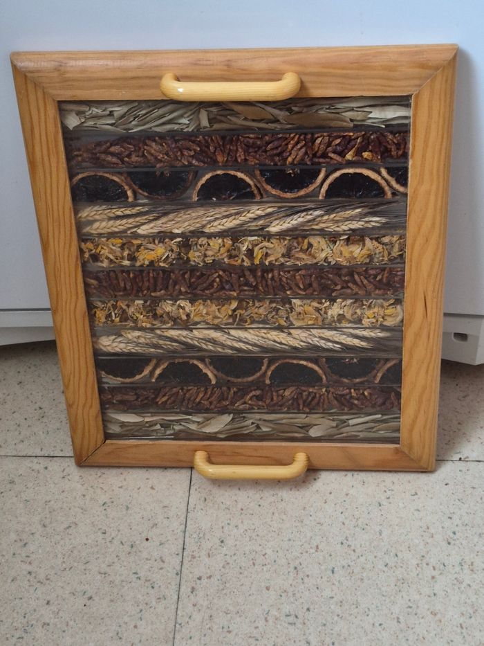 Plateau - photo numéro 4