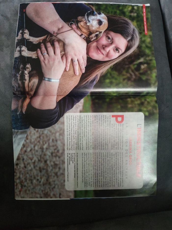 Magazine 30 millions d'amis numéro 381 février 2020 - photo numéro 12