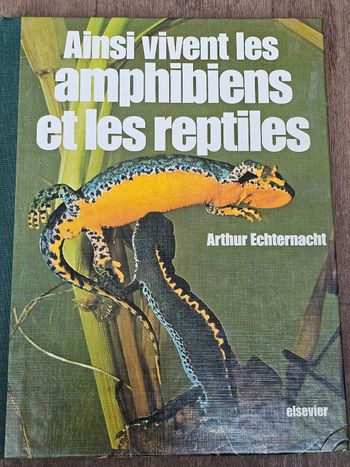 Ainsi vivent les amphibiens et les reptiles 