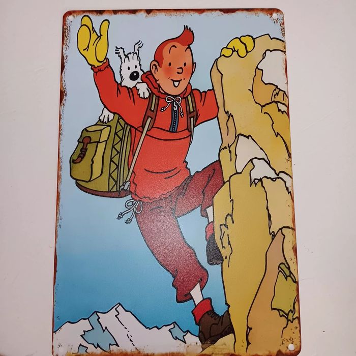 6 plaque Aluminium famille tintin - photo numéro 5