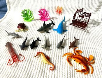 Crabe, requin, tortue, cage, hippocampe, algue, calamar.