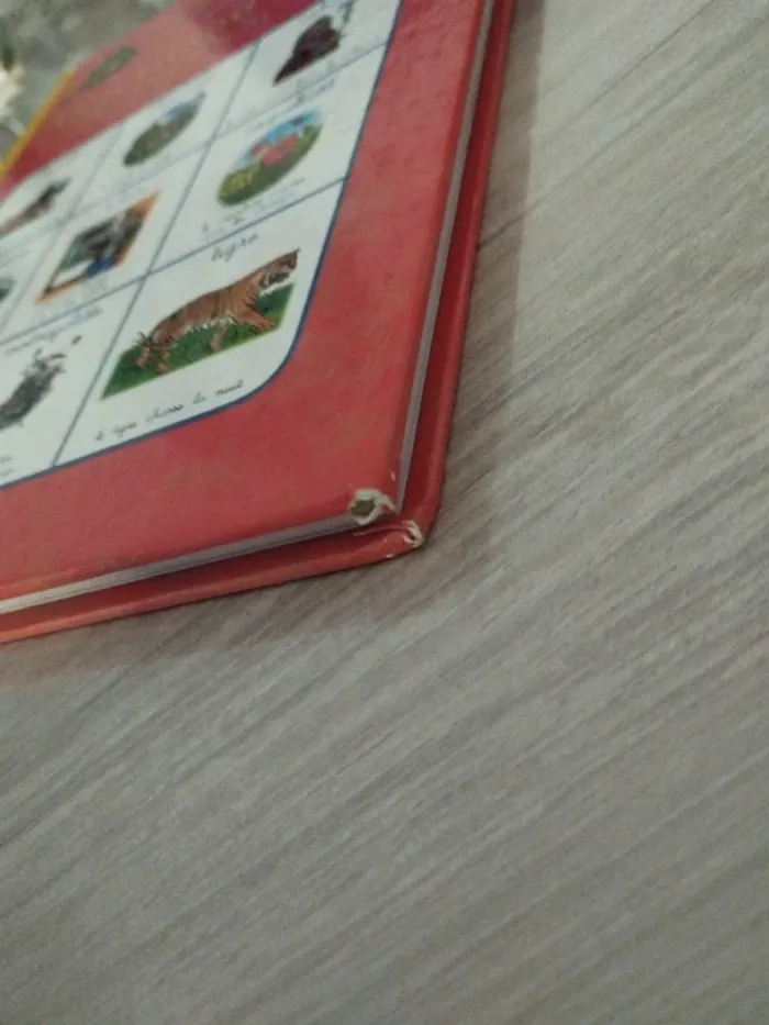 Mon grand imagier pour apprendre à lire - photo numéro 3