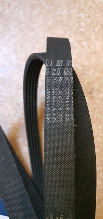 Courroie d'accessoire