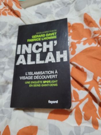 Inch Allah l islamisation à visage decouvert