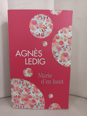 Roman " Marie d'en haut "