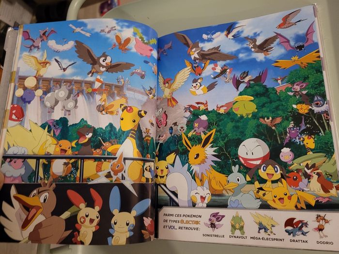 livre pokemon (5e) - photo numéro 3