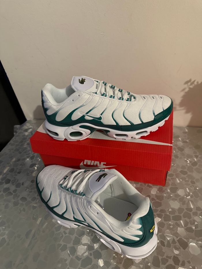 Tn nike Lacoste - photo numéro 3