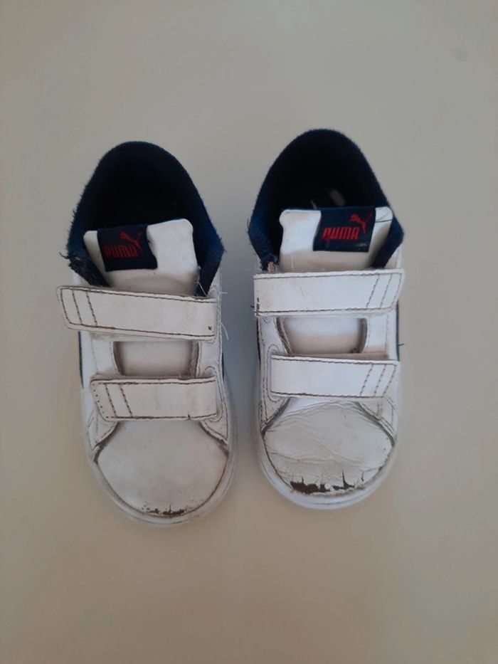 Basket Puma
