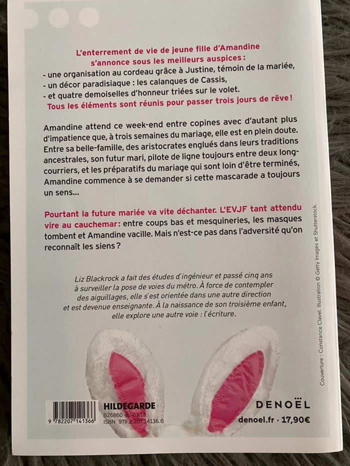 EVJF - roman - photo numéro 2