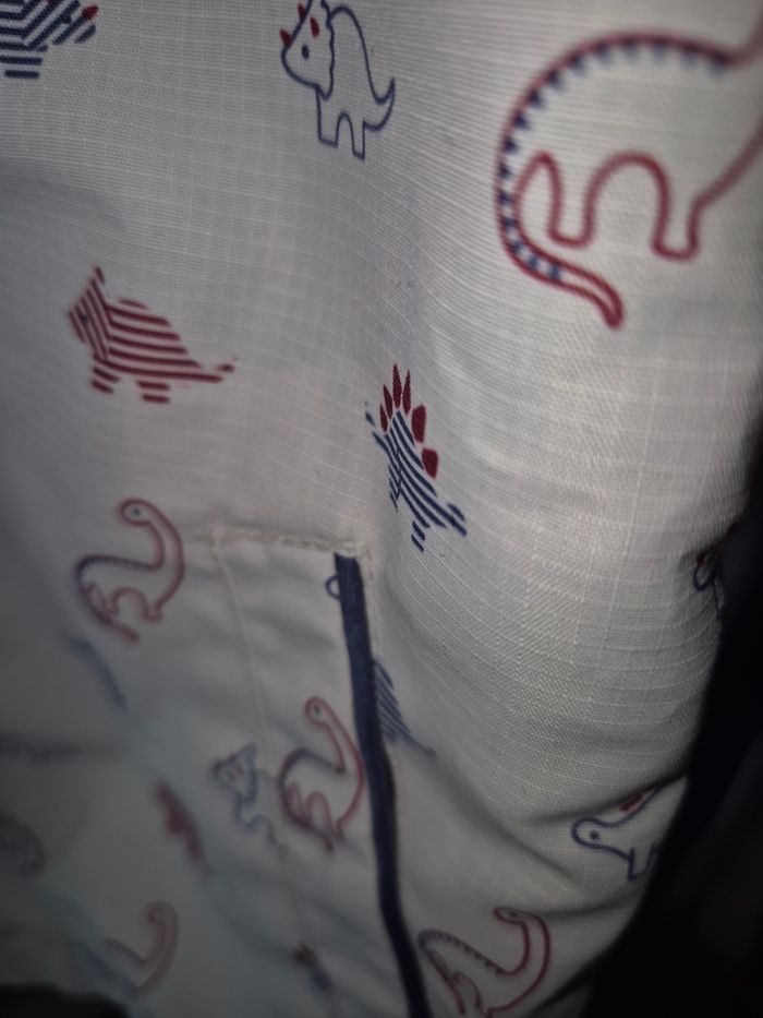 Manteau léger dinosaure garçon - photo numéro 4