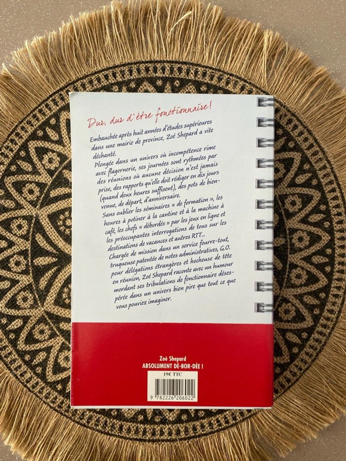 Livre Absolument débordée - photo numéro 3