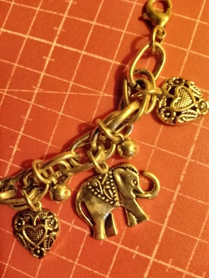 Bracelet pour cheville - photo numéro 2