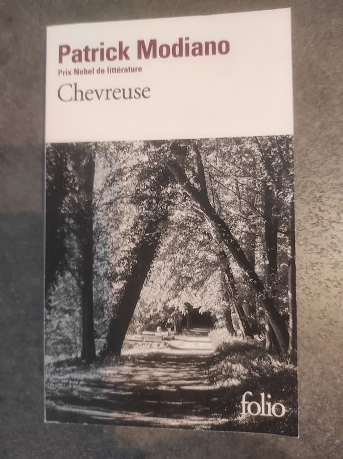 Chevreuse Patrick Modiano Folio 2023 - photo numéro 1