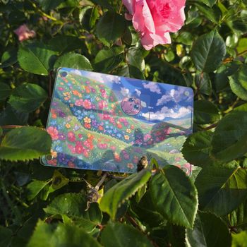 Cadre Magnétique Pokemon Rondoudou 004/015