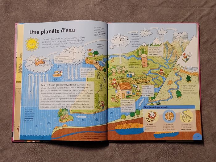 Sciences - 6/9 Ans Nathalie Audard, Philippe Monges, Maryline Coquidé, Joël Lebeaume - photo numéro 3