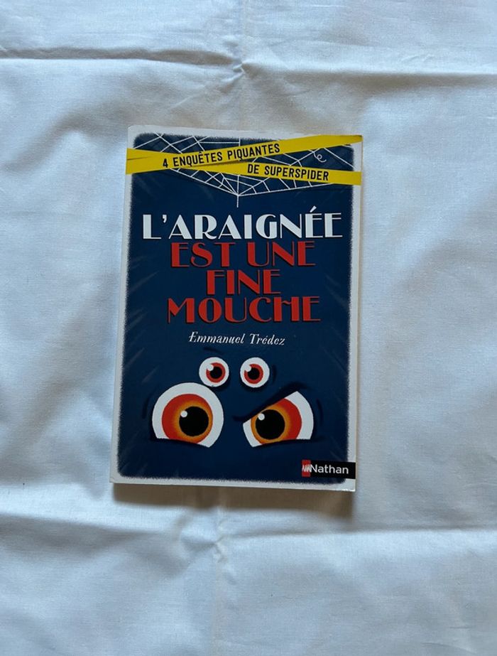 Livre L’araignée est une fine mouche