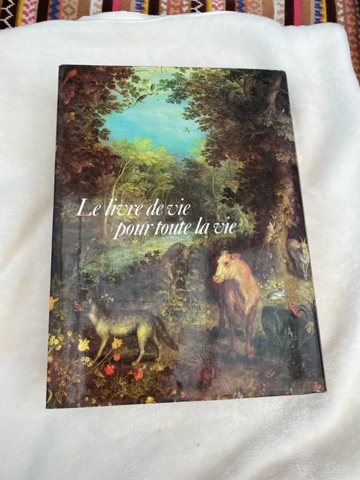 La grande Bible illustrée pour les jeunes - photo numéro 2
