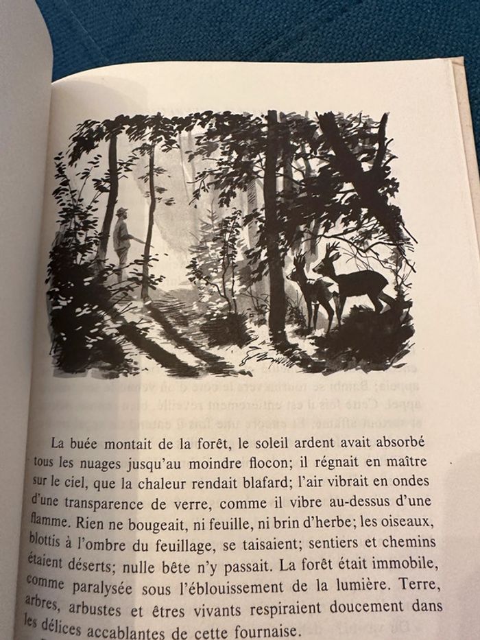1979 Livre ancien Bambi le Chevreuil Félix Salten Pierre Probst La Galaxie - photo numéro 11