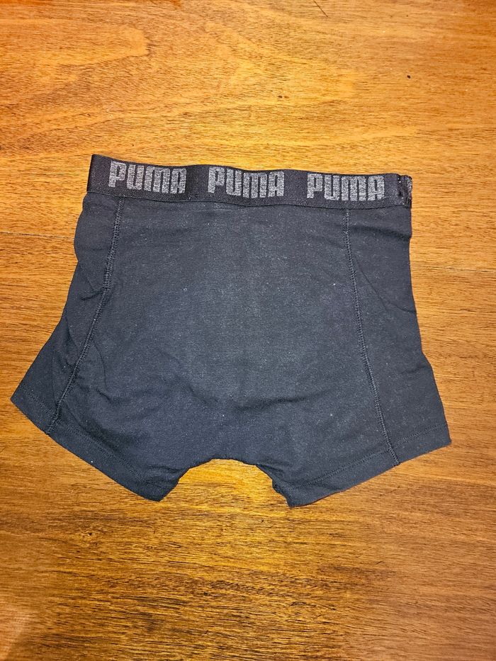 4 Boxer puma - photo numéro 4