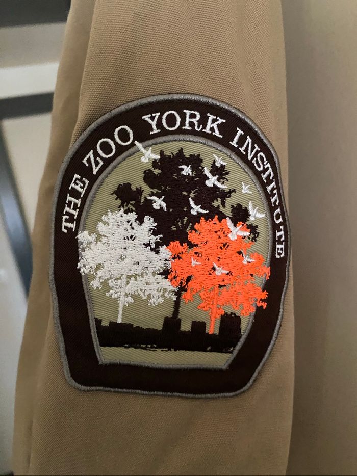 Vestes homme L - photo numéro 4