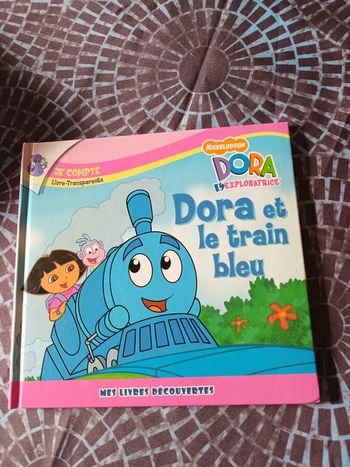 livre dora et le train bleu