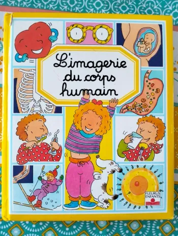 L'imagerie du corps humain