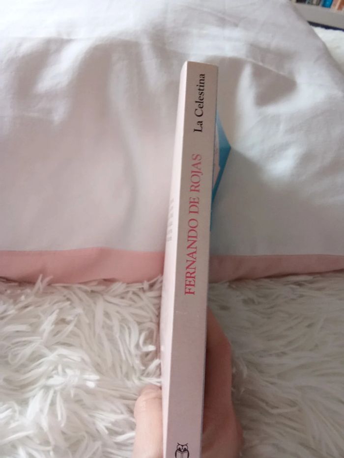 La Celestina. - photo numéro 2