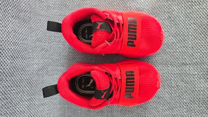 Puma taille 20 - photo numéro 3