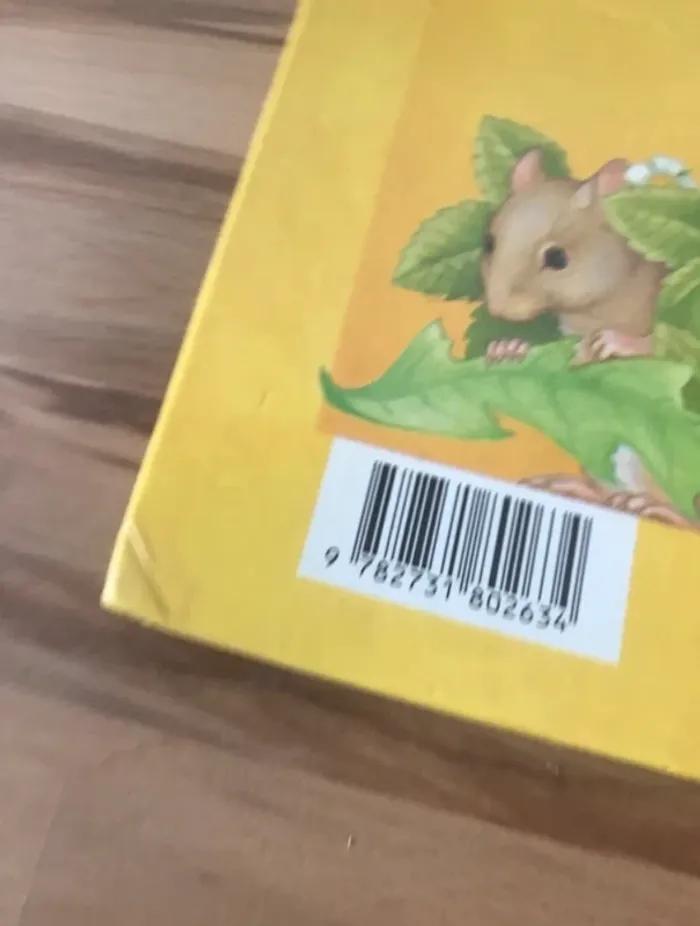 livre  le trésor de l’ours tim - photo numéro 3