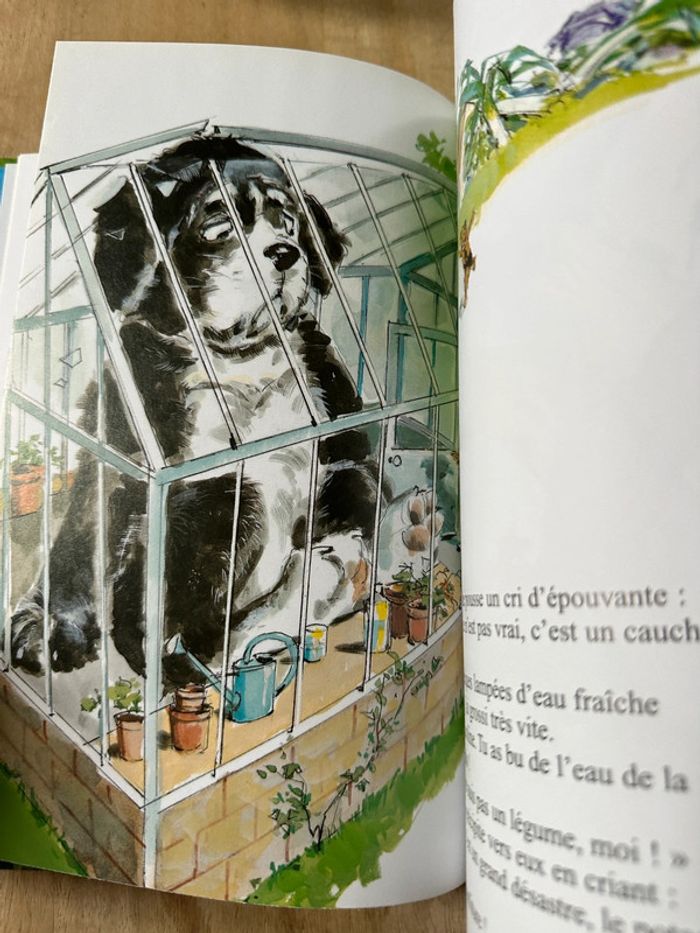 Livre rare difficile à trouver Caroline et le potager ensorcelé jardin bd album Pierre Probst - photo numéro 7