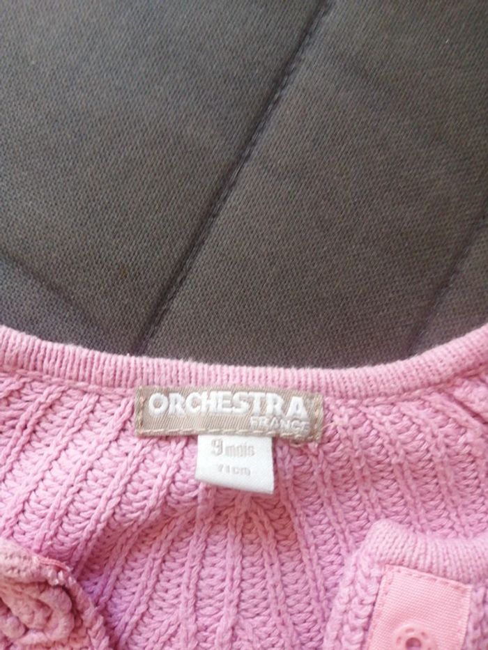 Gilets - photo numéro 3